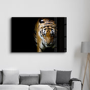 Tiger 3 | Glass Wall Art - Artdesigna