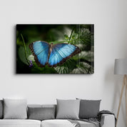 Butterfly Bluewing | Glass Wall Art - Artdesigna