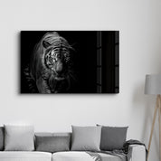 Tiger in the Black | Glass Wall Art - Artdesigna