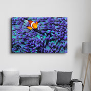 Clownfish | Glass Wall Art - Artdesigna