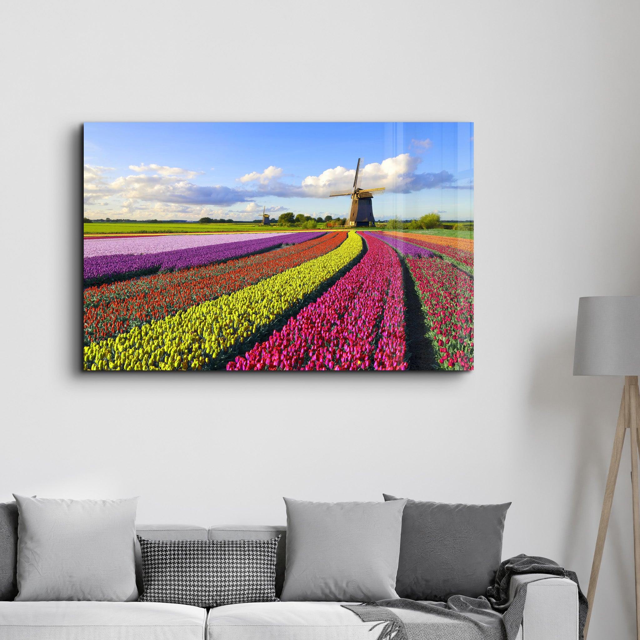 Tulips Of Amsterdam | Glass Wall Art - Artdesigna