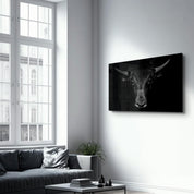 The Bull | Glass Wall Art - Artdesigna