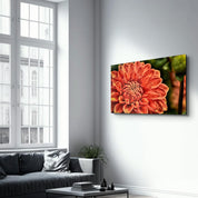 Orange Gerbera | Glass Wall Art - Artdesigna