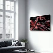 Red and Black Flowers | Glass Wall Art - Artdesigna