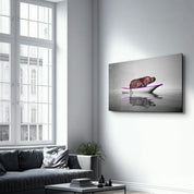 Hippo on the Boat 2 | Glass Wall Art - Artdesigna