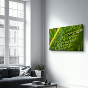 Green Leaves with Water Drops | Glass Wall Art - Artdesigna