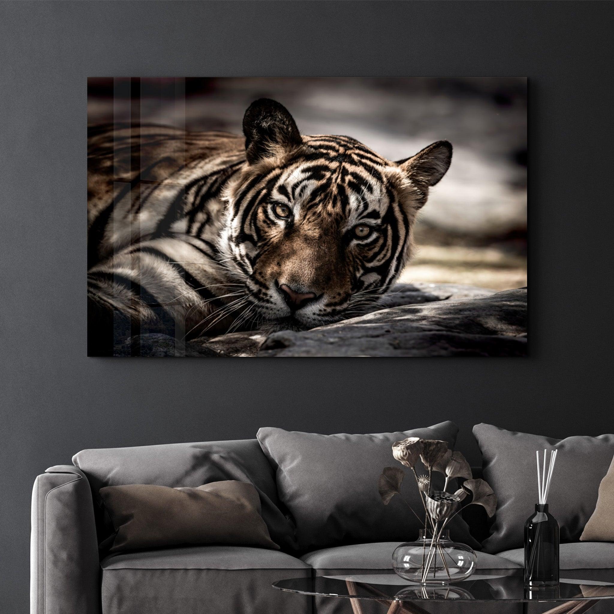 Tired Tiger | Glass Wall Art - Artdesigna