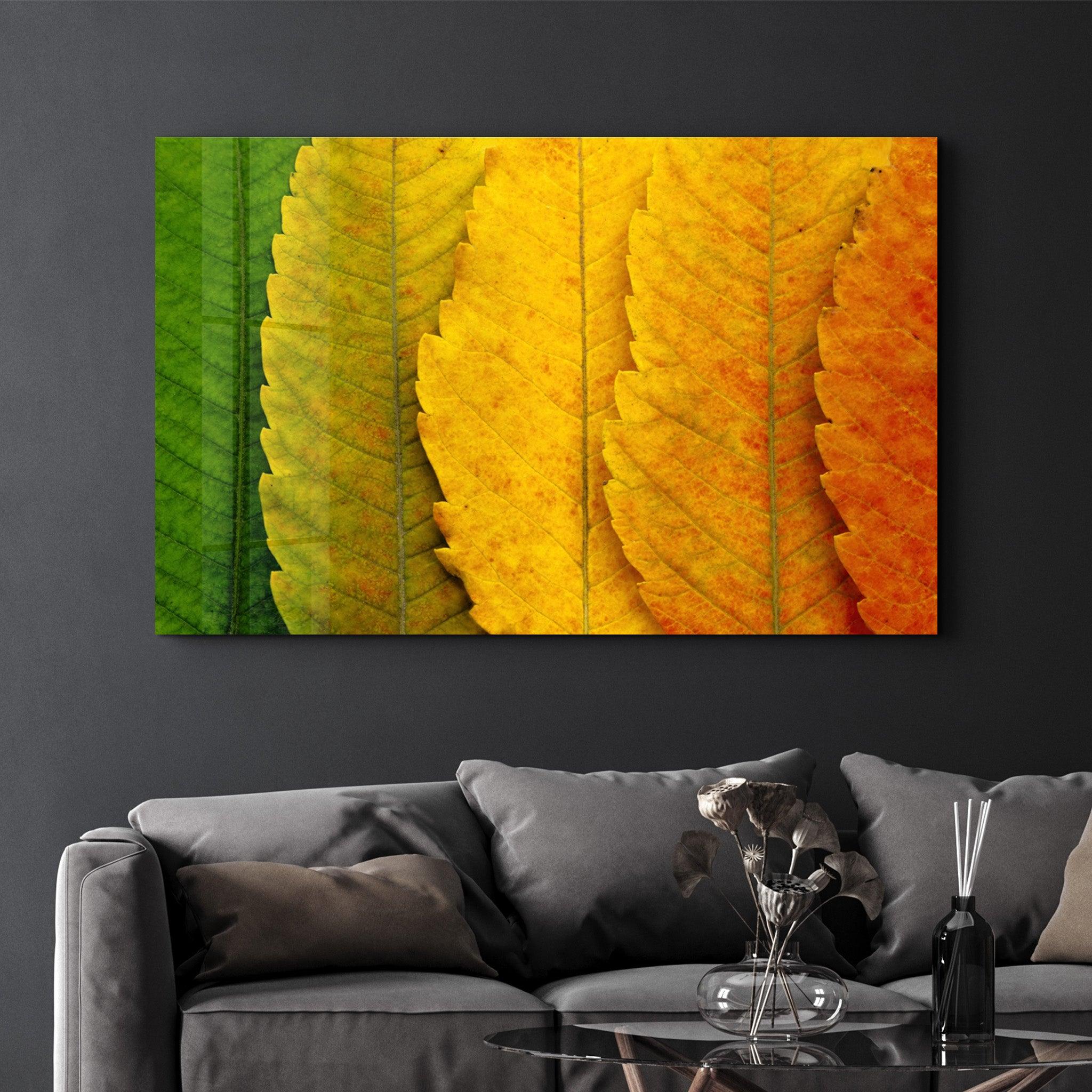 Depth Of Focus | Glass Wall Art - Artdesigna