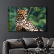 Just Chillin | Glass Wall Art - Artdesigna