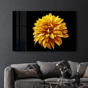 Yellow Flower | Glass Wall Art - Artdesigna