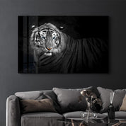 Tiger 4 | Glass Wall Art - Artdesigna