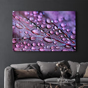 Purple Leaf | Glass Wall Art - Artdesigna