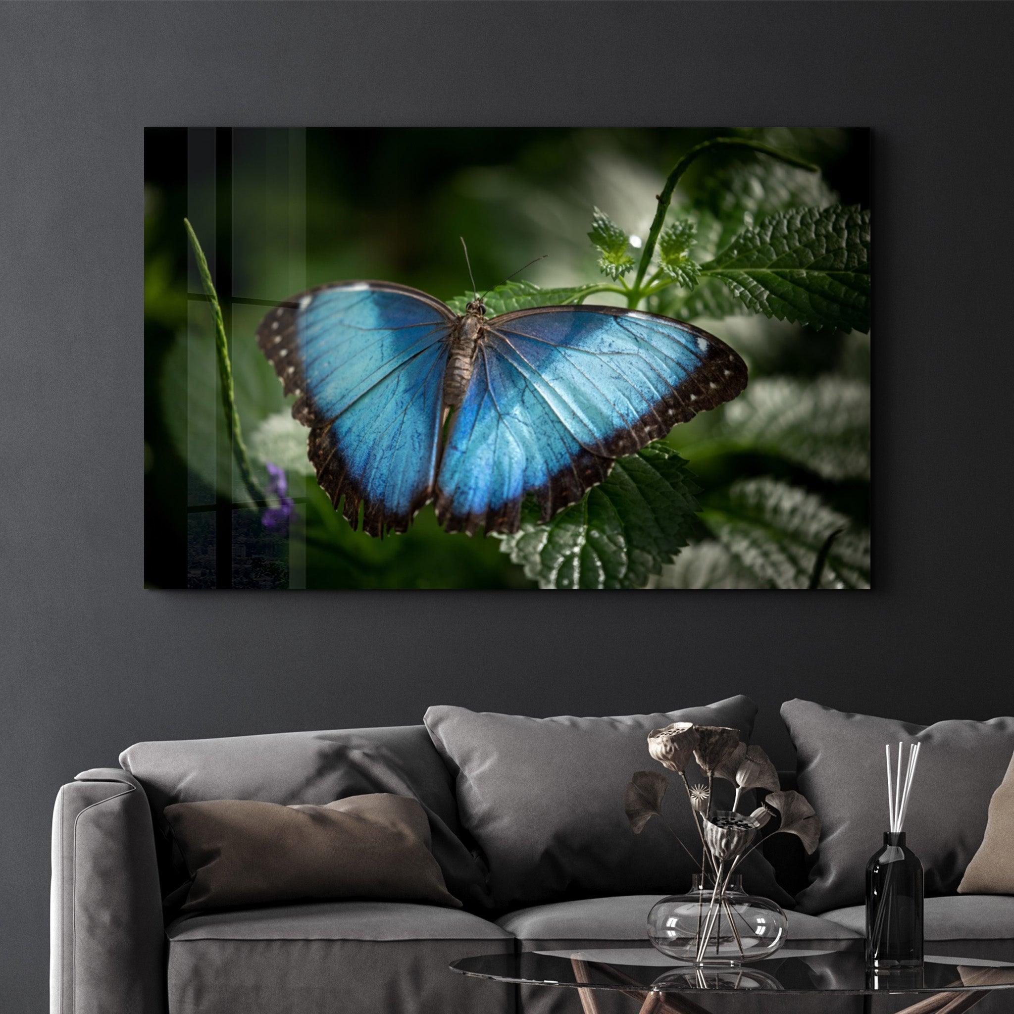 Butterfly Bluewing | Glass Wall Art - Artdesigna