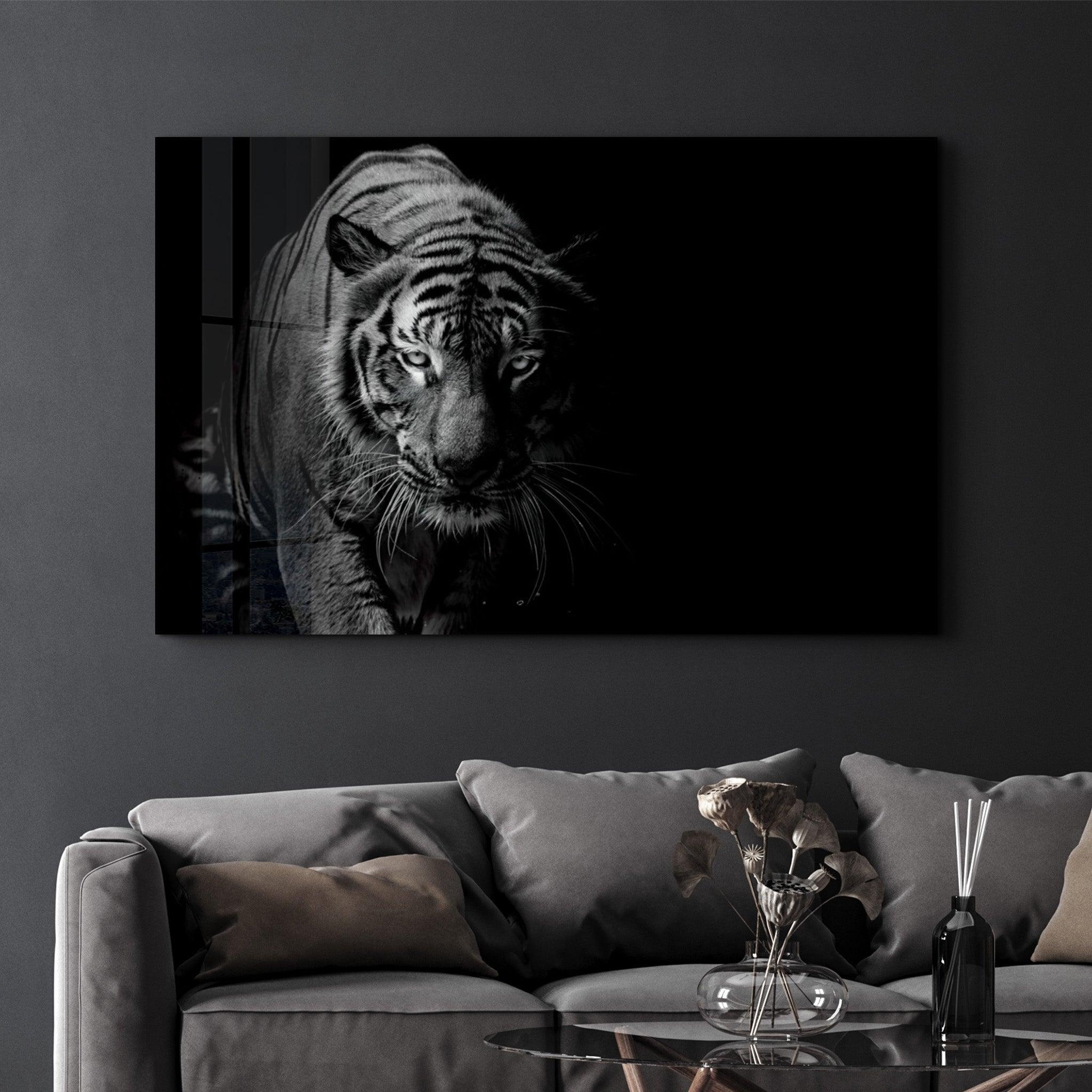 Tiger in the Black | Glass Wall Art - Artdesigna