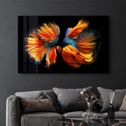 Beta Fishes | Glass Wall Art - Artdesigna