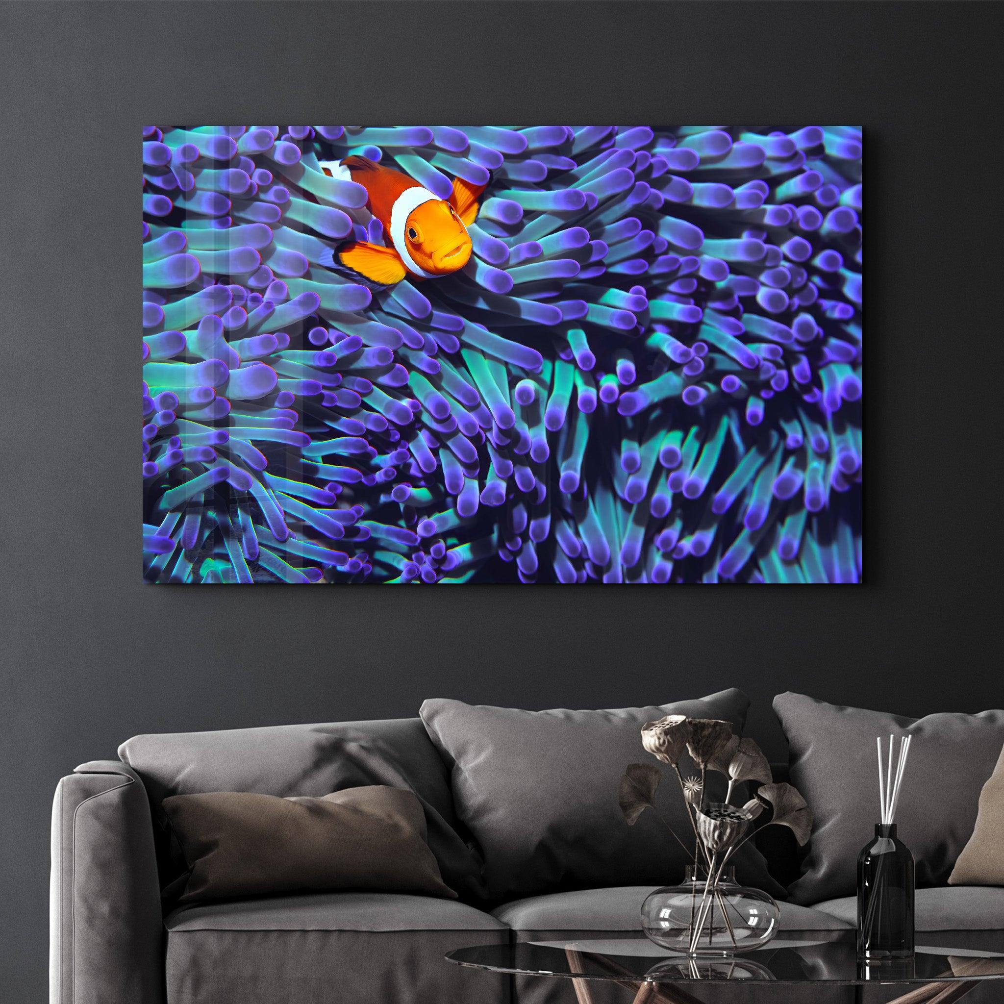 Clownfish | Glass Wall Art - Artdesigna