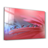 Delicate Dewdrops | Glass Wall Art