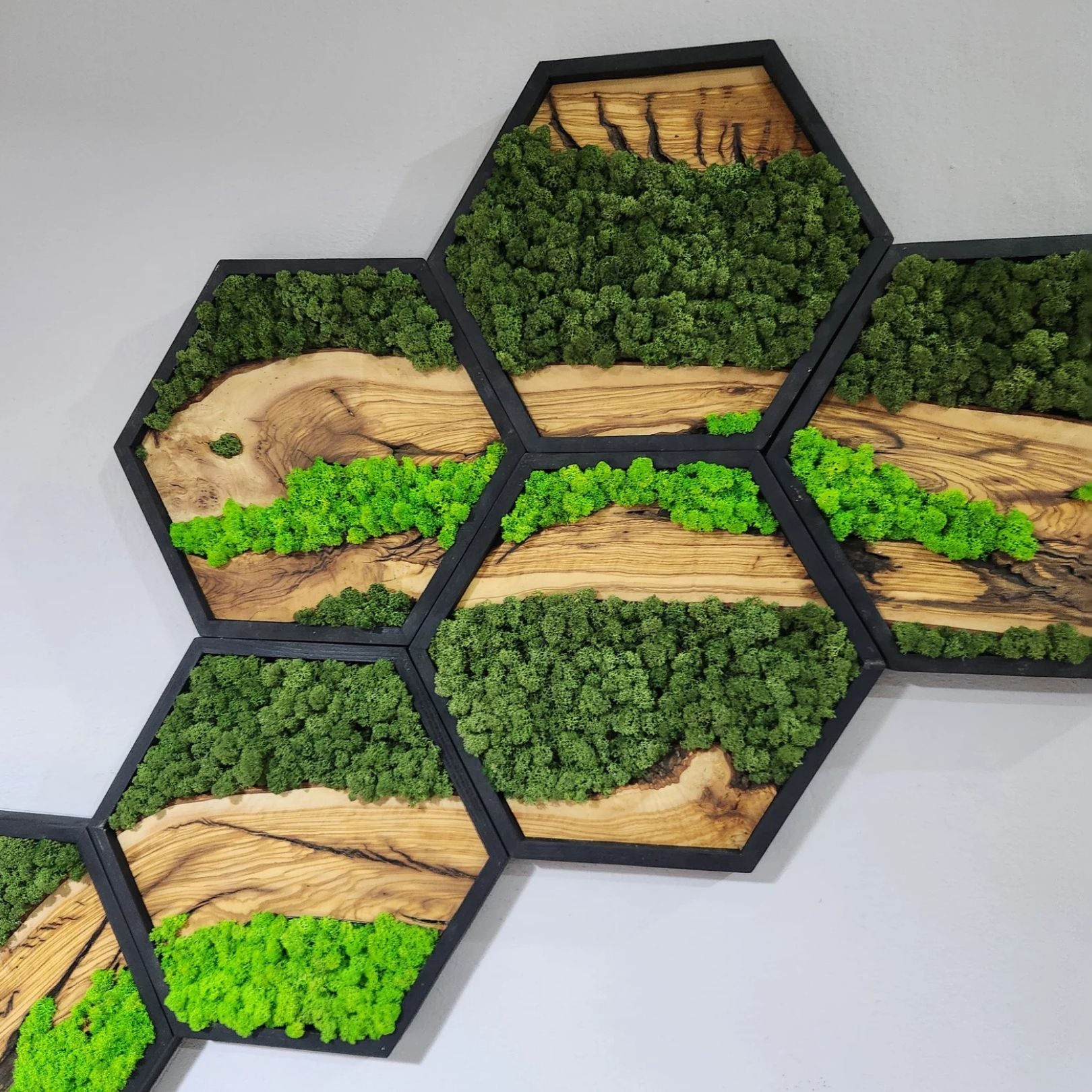 Honeycomb Moss & Olive Tree | Premium Handmade Wall Sculptures