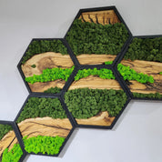 Honeycomb Moss & Olive Tree | Premium Handmade Wall Sculptures