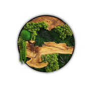 Organic Oasis | Premium Moss and Olive Wood Wall Decor - Artdesigna