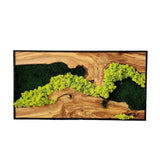 Handmade Moss & Olive Tree Wood Wall Art Rectangular | Premium Wall Sculptures