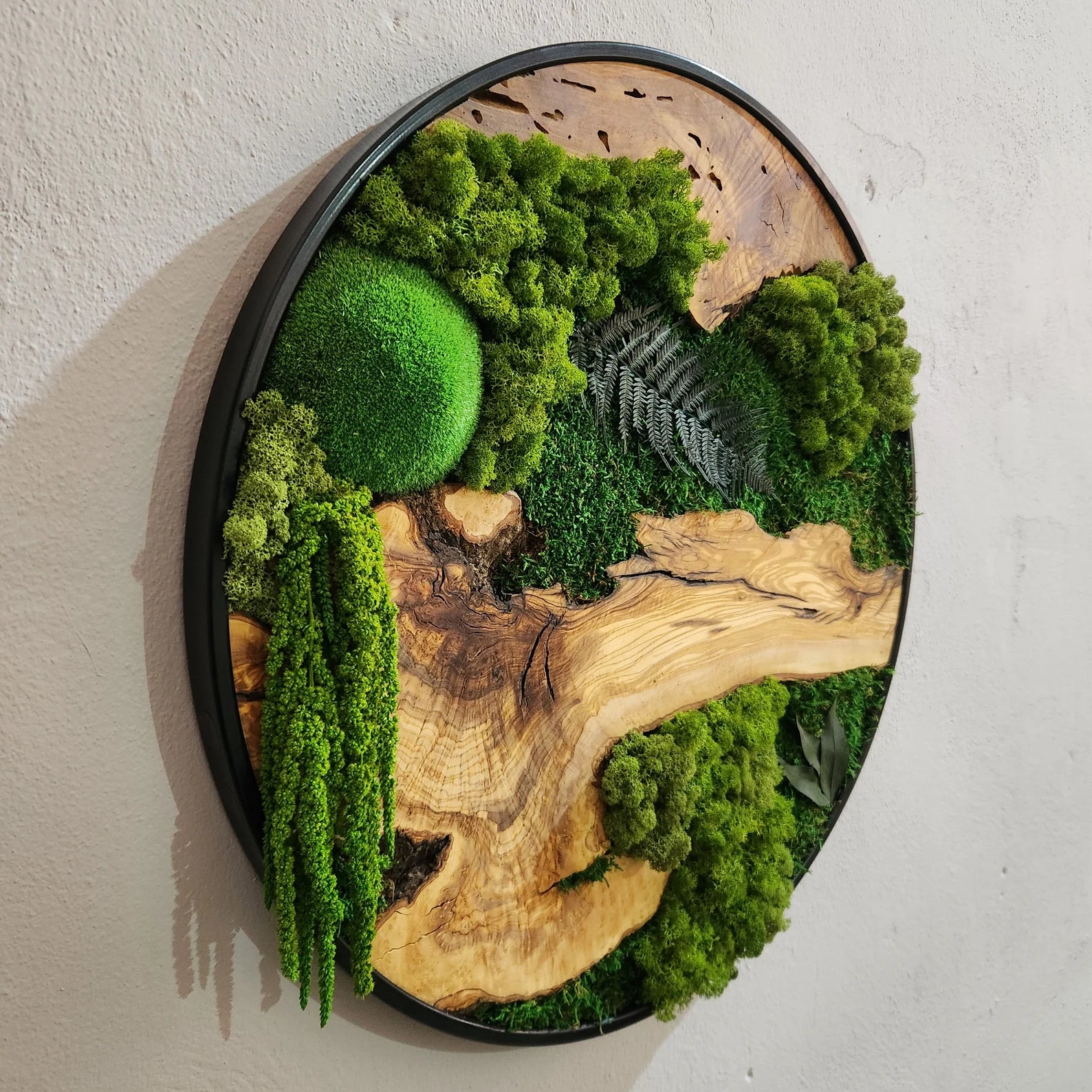 Organic Oasis | Premium Moss and Olive Wood Wall Decor - Artdesigna