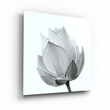 B&W Tulip | Glass Wall Art