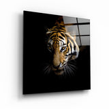 King of the Jungle | Glass Wall Art