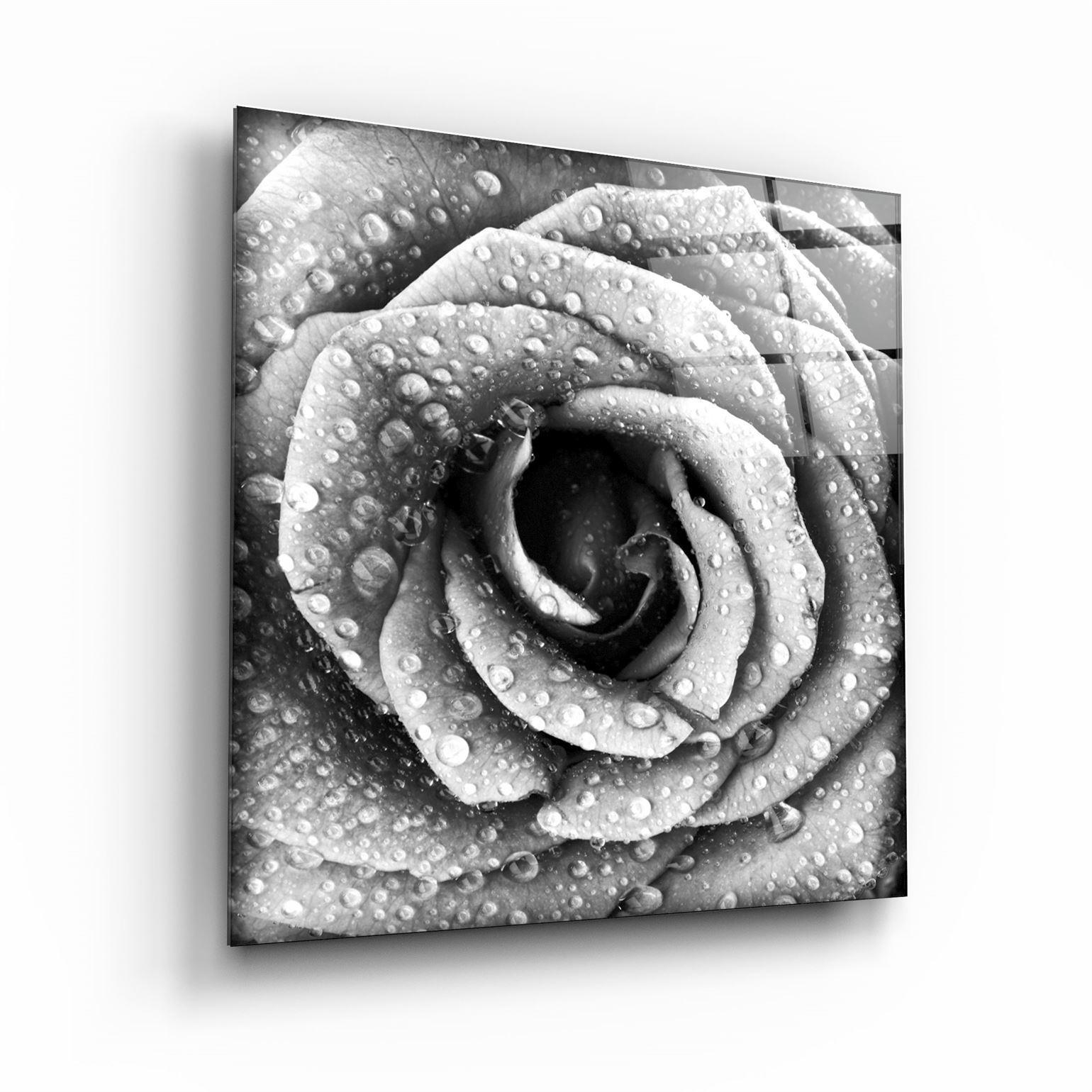 ・"Rose"・Glass Wall Art - ArtDesigna Glass Printing Wall Art