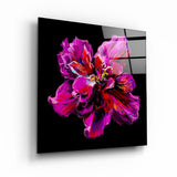 Abstract Purple Flower | Glass Wall Art