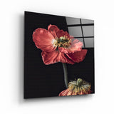 Red Flowers | Glass Wall Art