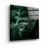 Gorilla | Glass Wall Art