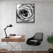 ・"Rose"・Glass Wall Art - ArtDesigna Glass Printing Wall Art